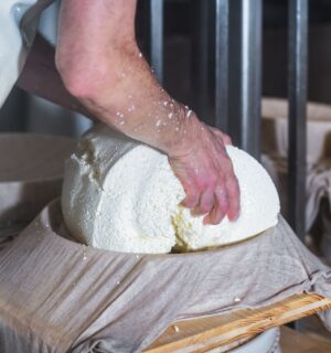 A cheesemaker making cheese with their bare hands on a cloth