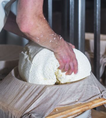 A cheesemaker making cheese with their bare hands on a cloth