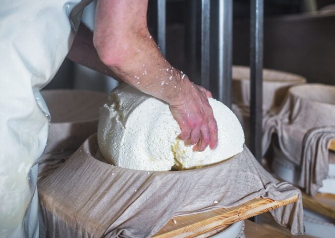 A cheesemaker making cheese with their bare hands on a cloth