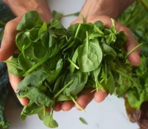 Dr Rupy holds a bunch of spinach in his hands, with kale and other leafy greens on the table below him, some of the top foods that fight inflammation