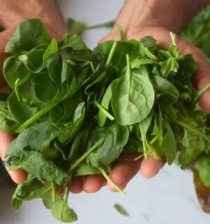 Dr Rupy holds a bunch of spinach in his hands, with kale and other leafy greens on the table below him, some of the top foods that fight inflammation