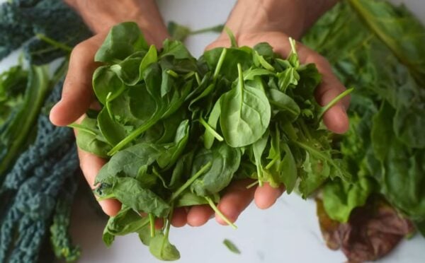 Dr Rupy holds a bunch of spinach in his hands, with kale and other leafy greens on the table below him, some of the top foods that fight inflammation