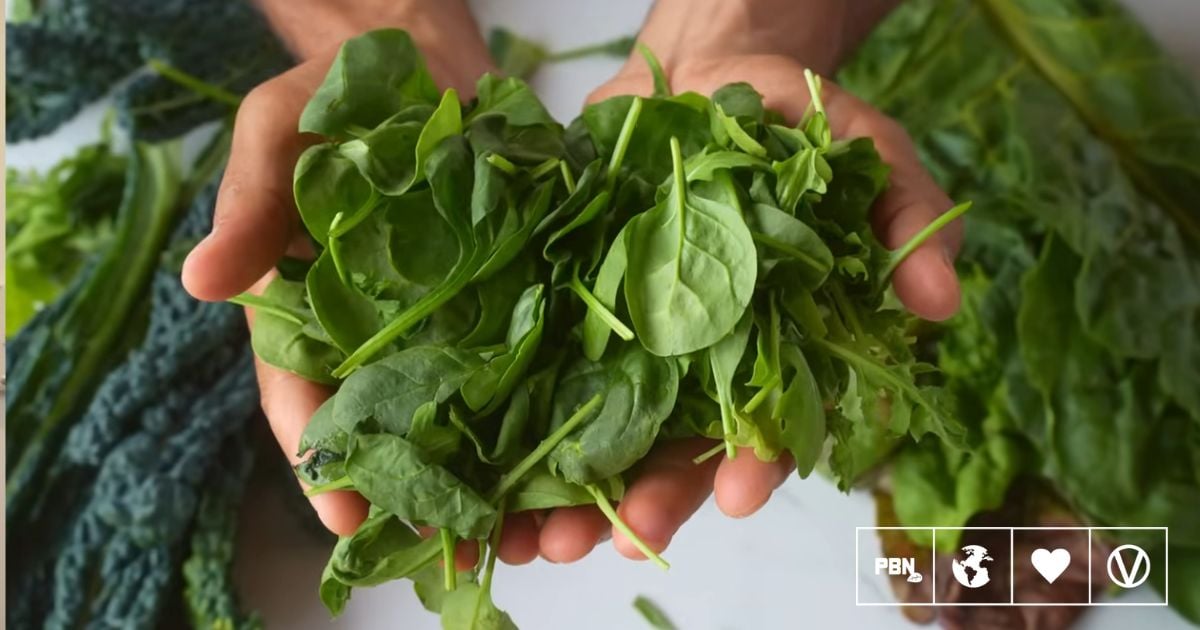 7 Plant-Based Foods That Fight Inflammation and Boost Energy