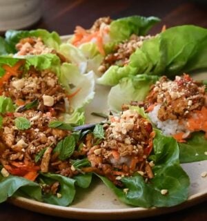 A plate of fresh lettuce wraps filled with a block of tofu, sushi rice, shredded carrots, herbs, and crushed peanuts