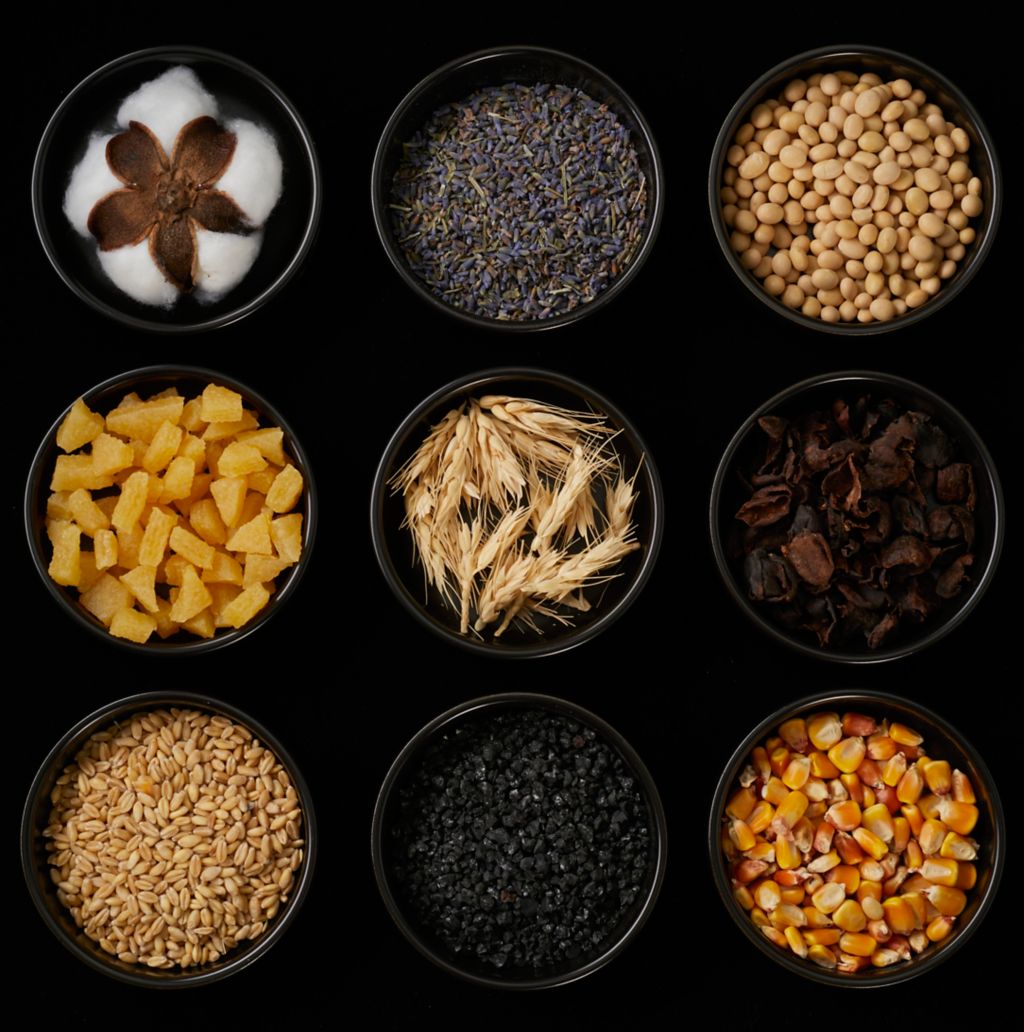 Photo shows some of the plant-based materials used by UNCAGED to make the Hyundai leather alternative, including grains