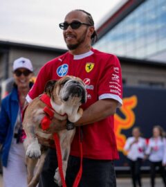 Photo shows Lewis Hamilton and his dog Roscoe at Silverstone in July, 2025