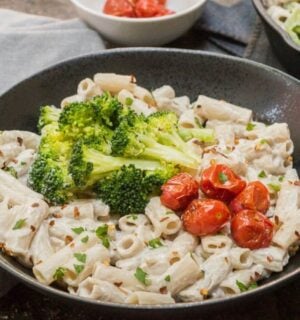 a bowl plant based alfredo sauce made with cashews and miso, served with pasta