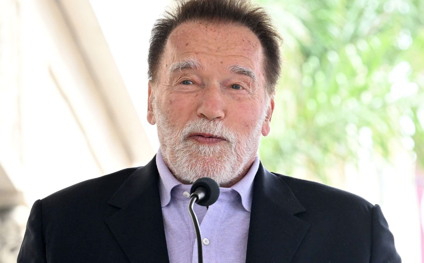 Photo shows Arnold Schwarzenegger, who recently said he follows a mostly plant-based diet