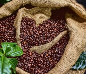 a bag of coffee beans surrounded by green plants for the topic of coffee's health effects on people