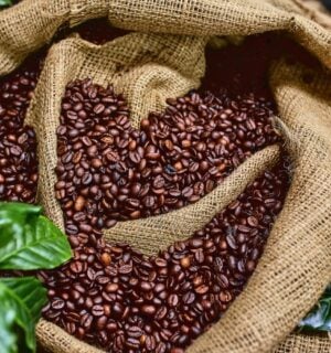 a bag of coffee beans surrounded by green plants for the topic of coffee's health effects on people