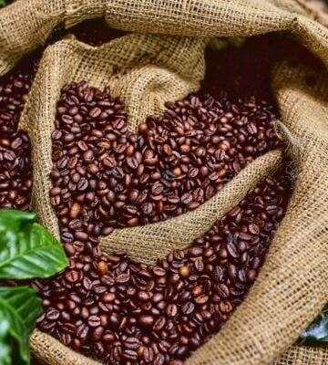 a bag of coffee beans surrounded by green plants for the topic of coffee's health effects on people