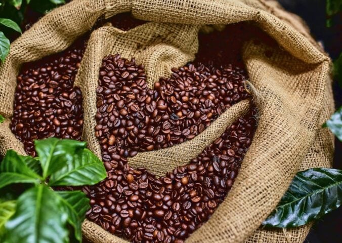 a bag of coffee beans surrounded by green plants for the topic of coffee's health effects on people