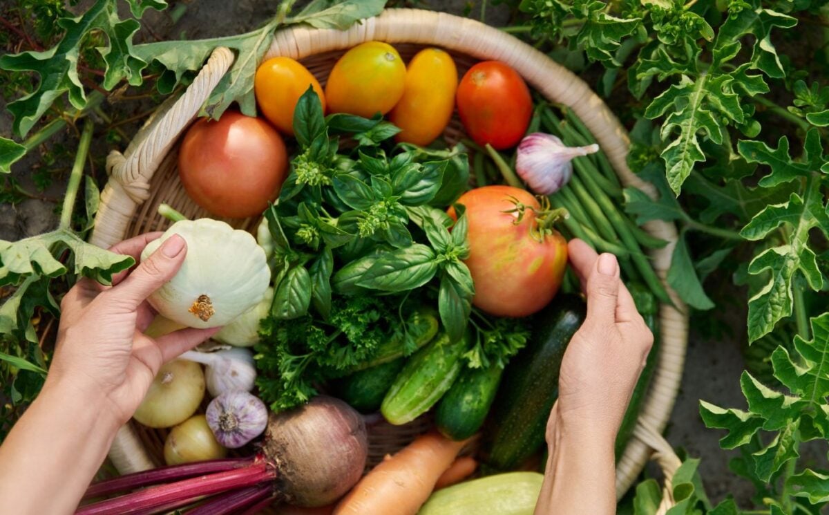 Photo shows someone's hands in a basket of freshly picked herbs and vegetables