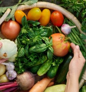 Photo shows someone's hands in a basket of freshly picked herbs and vegetables
