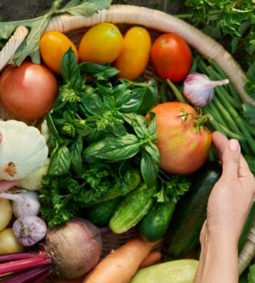 Photo shows someone's hands in a basket of freshly picked herbs and vegetables