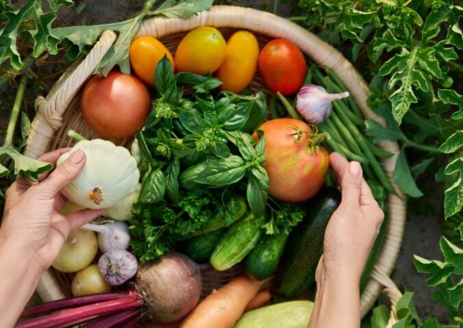 Photo shows someone's hands in a basket of freshly picked herbs and vegetables