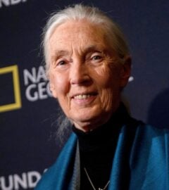Photo shows Jane Goodall standing in front of a National Geographic backdrop during a conference for the RBA Foundation in Madrid in 2016