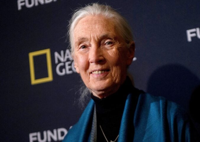 Photo shows Jane Goodall standing in front of a National Geographic backdrop during a conference for the RBA Foundation in Madrid in 2016