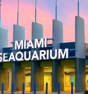 Miami Seaquarium closes. Photo shows the front of a building at Miami Seaquarium, which recently closed for good