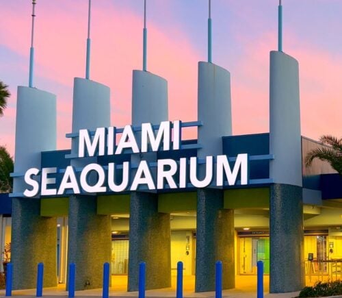 Miami Seaquarium closes. Photo shows the front of a building at Miami Seaquarium, which recently closed for good
