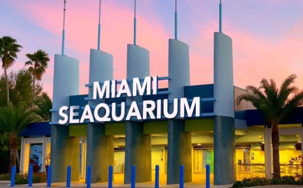 Miami Seaquarium closes. Photo shows the front of a building at Miami Seaquarium, which recently closed for good