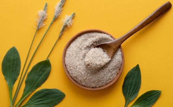 a photo of psyllium husk powder against a yellow background with psyllium plants