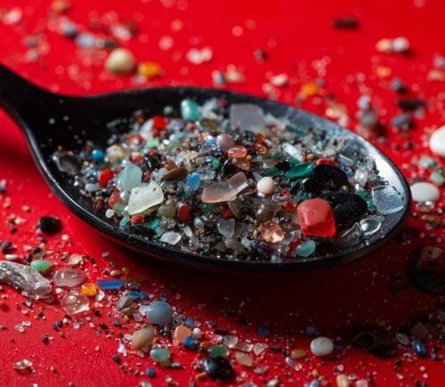 a picture of a spoon of microplastics to illustrate the impact of microplastics in the human body