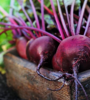 a box of beetroot for an article about What happens after eating beets