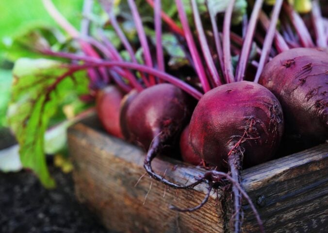 a box of beetroot for an article about What happens after eating beets