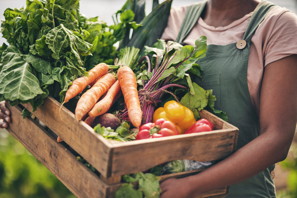 Photo shows a young woman holding up a large wooden crate full of colorful vegetables