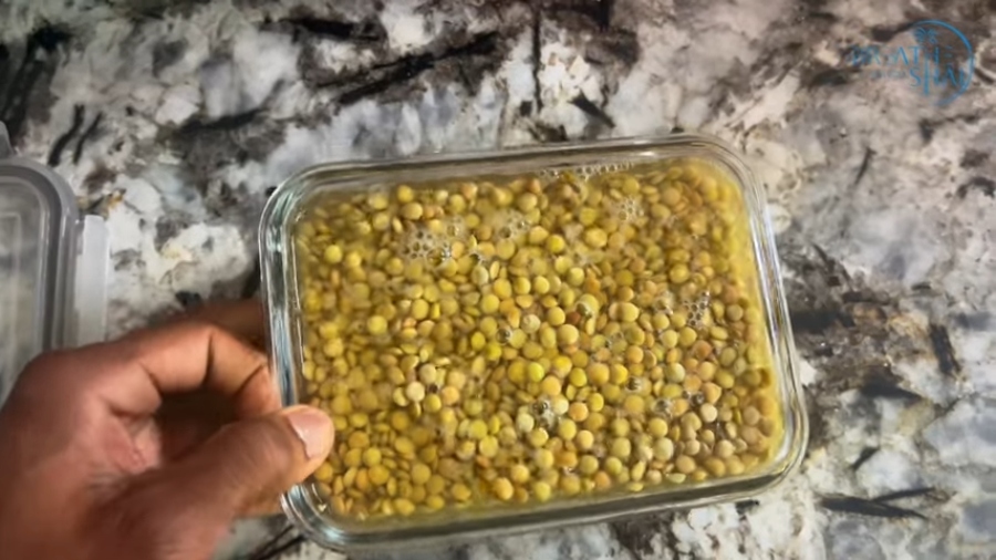 Shai's hand holding a glass food container filled with lentils soaking in water, the first step of sprouting lentils at home