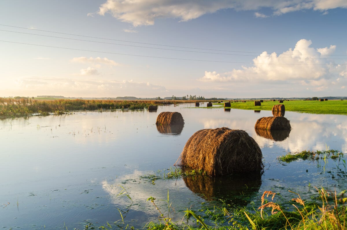 Photo shows a field full of hay bales flooded with river water