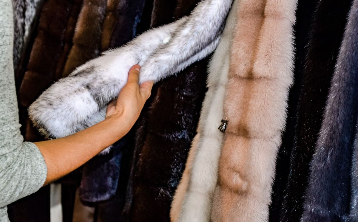 Photo shows someone feeling the texture of a fur coat on a rack in a store. Is wearing fur really back in fashion?