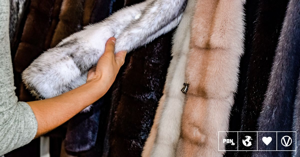 Is Wearing Animal Fur Really Back In Fashion?