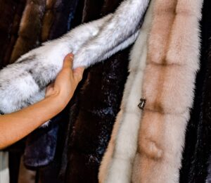 Photo shows someone feeling the texture of a fur coat on a rack in a store. Is wearing fur really back in fashion?