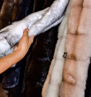 Photo shows someone feeling the texture of a fur coat on a rack in a store. Is wearing fur really back in fashion?