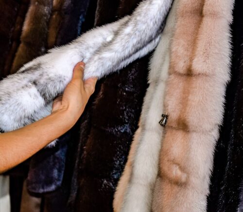 Photo shows someone feeling the texture of a fur coat on a rack in a store. Is wearing fur really back in fashion?