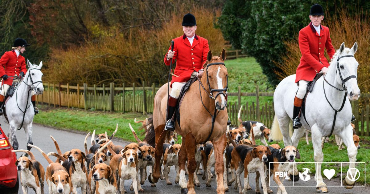 UK Hunts Have Claimed Over £2.4 Million In Taxpayer Money Since Ban
