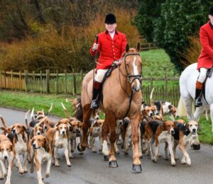 Photo shows huntsman John Holliday and whippers-in Sam and Poppy with the Duke of Rutland's hounds for The Belvoir Hunt's Boxing Day meet in December 2021