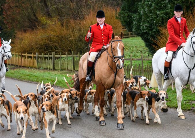 Photo shows huntsman John Holliday and whippers-in Sam and Poppy with the Duke of Rutland's hounds for The Belvoir Hunt's Boxing Day meet in December 2021