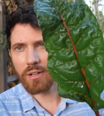 Mic stands in his garden holding a large chard leaf, one of the leafy greens that contains vitamin A5