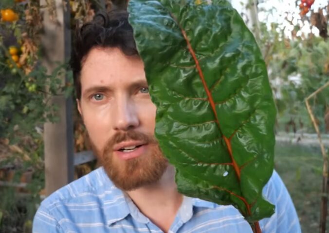 Mic stands in his garden holding a large chard leaf, one of the leafy greens that contains vitamin A5