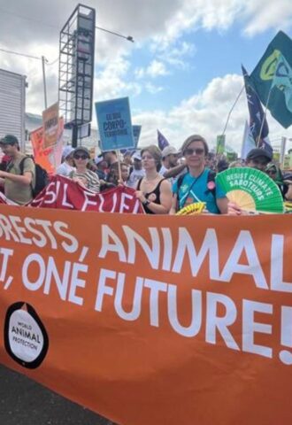 Photo shows World Animal Protection and other activists demonstrating in the COP30 People's March in November