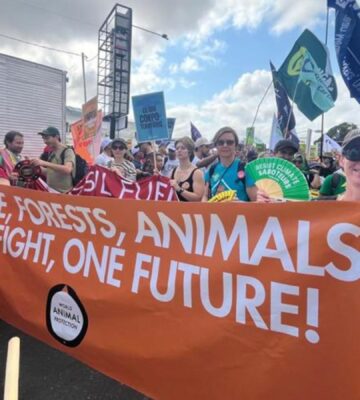 Photo shows World Animal Protection and other activists demonstrating in the COP30 People's March in November