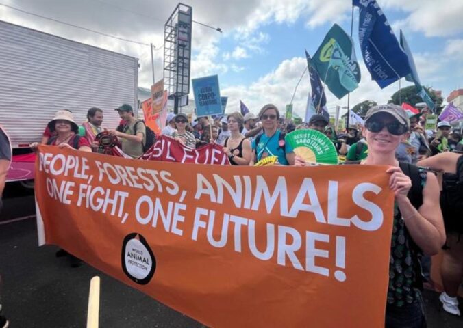 Photo shows World Animal Protection and other activists demonstrating in the COP30 People's March in November