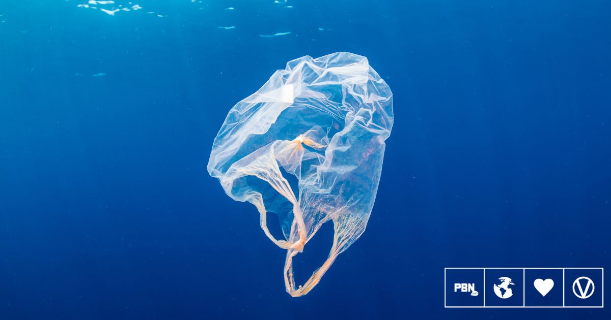 Cutting-Edge Plant-Based Plastic Bag Dissolves In Seawater Leaving No Microplastics