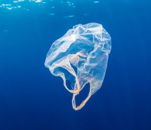 Photo shows a bag floating in the ocean. A team of researchers has created a strong, flexible, plastic-free bag that dissolves safely in sea water