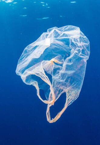 Photo shows a bag floating in the ocean. A team of researchers has created a strong, flexible, plastic-free bag that dissolves safely in sea water