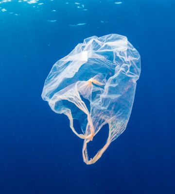 Photo shows a bag floating in the ocean. A team of researchers has created a strong, flexible, plastic-free bag that dissolves safely in sea water