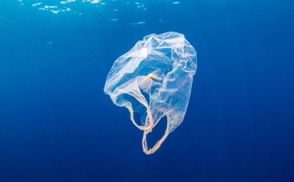 Photo shows a bag floating in the ocean. A team of researchers has created a strong, flexible, plastic-free bag that dissolves safely in sea water